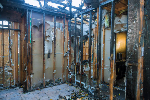 Professional Fire Damage Assessment technician working in Altamont, IL